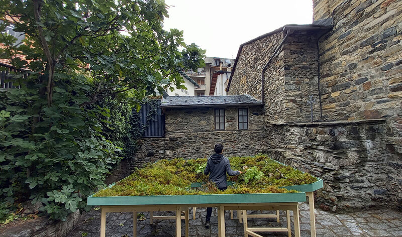 Sottobosco | Micro Landscapes - a Land Art by Ivan Juarez